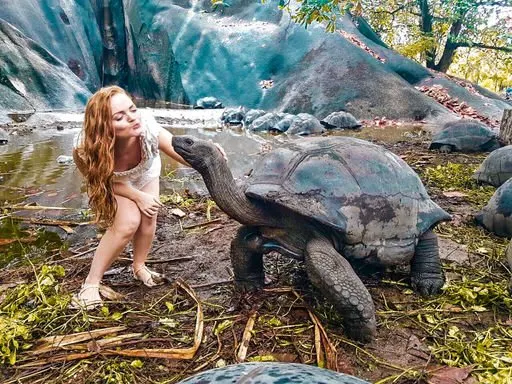 travel Seychelles Aldabra tortoise la digue