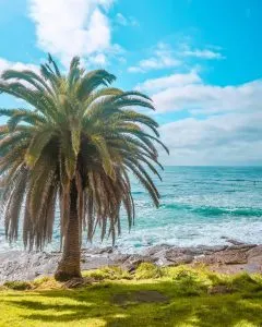 Cronulla coastal beach walk Sydney 