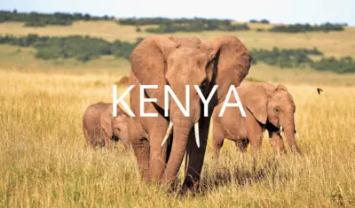 Kenya