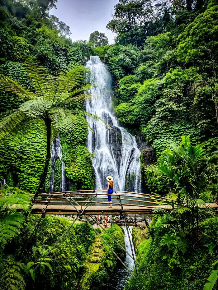 banyumala twin waterfall munduk north bali bridge