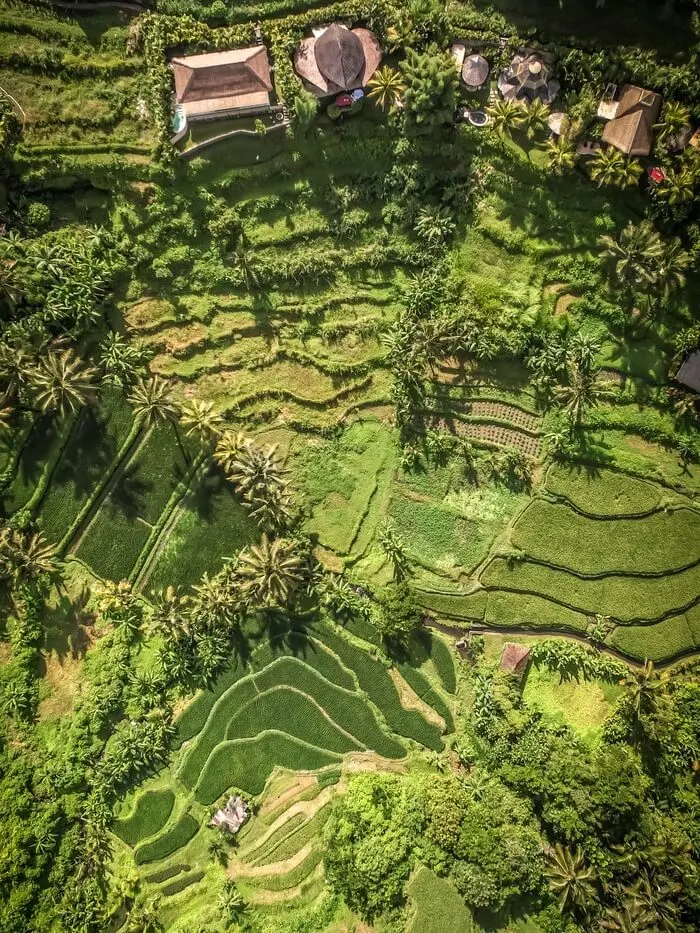camaya bali aerial view bamboo houses rice terraces