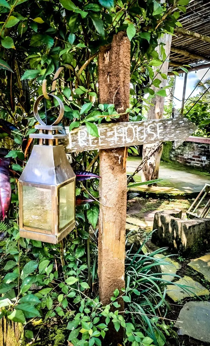 sebatu sanctuary eco resort ubud bali dreamy hobbit tree house accommodation entrance