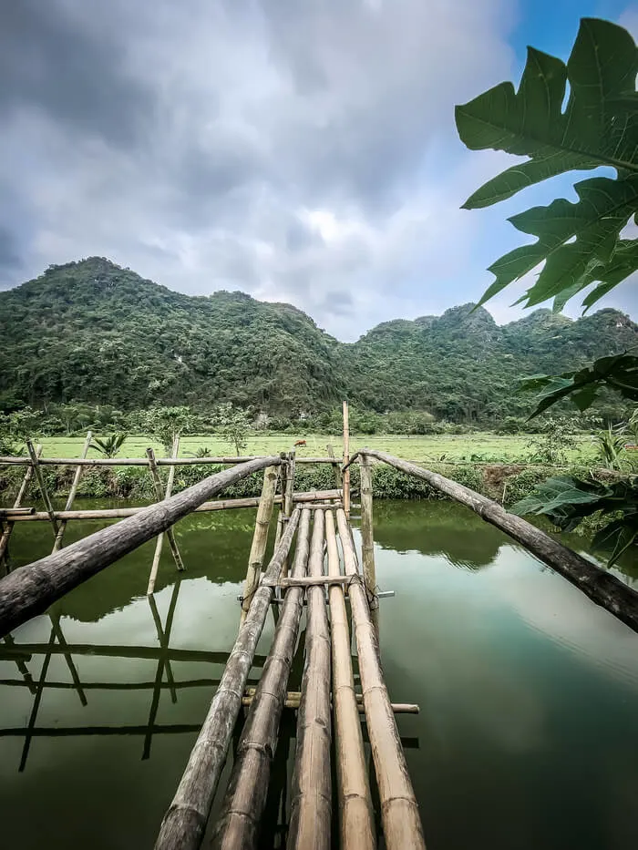 paradise cruise halong bay lan ha bay overnight vietnam viet hai village