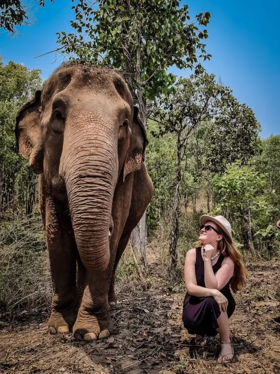 karen elephant serenity chiang mai ethical sanctuary